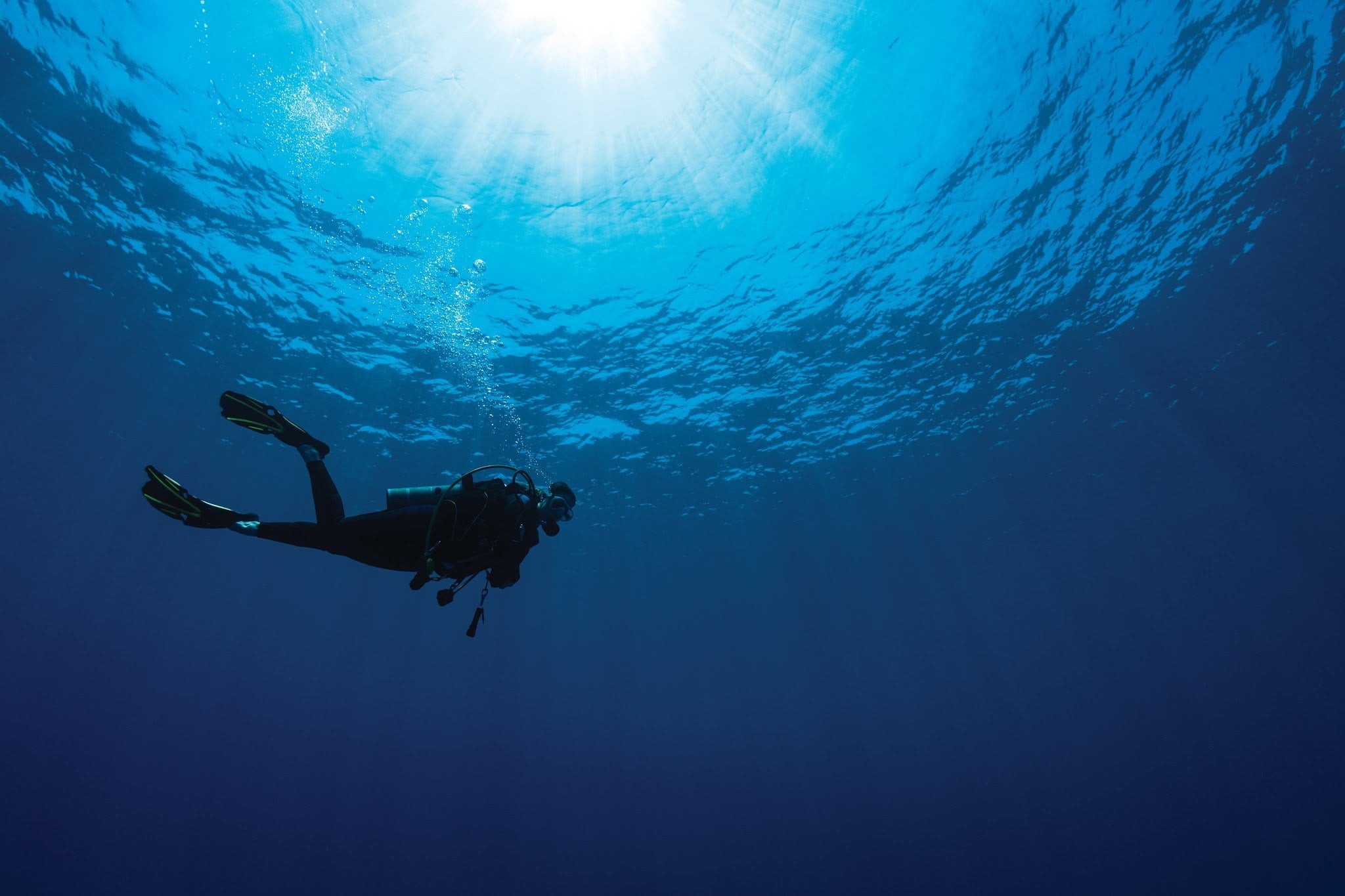 Additional image related to marine bacteria or antibiotic discovery.