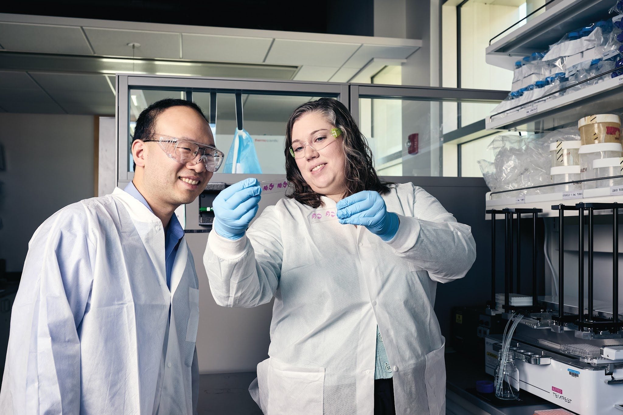 Additional image related to pancreatic cancer or engineered-bacteria research.