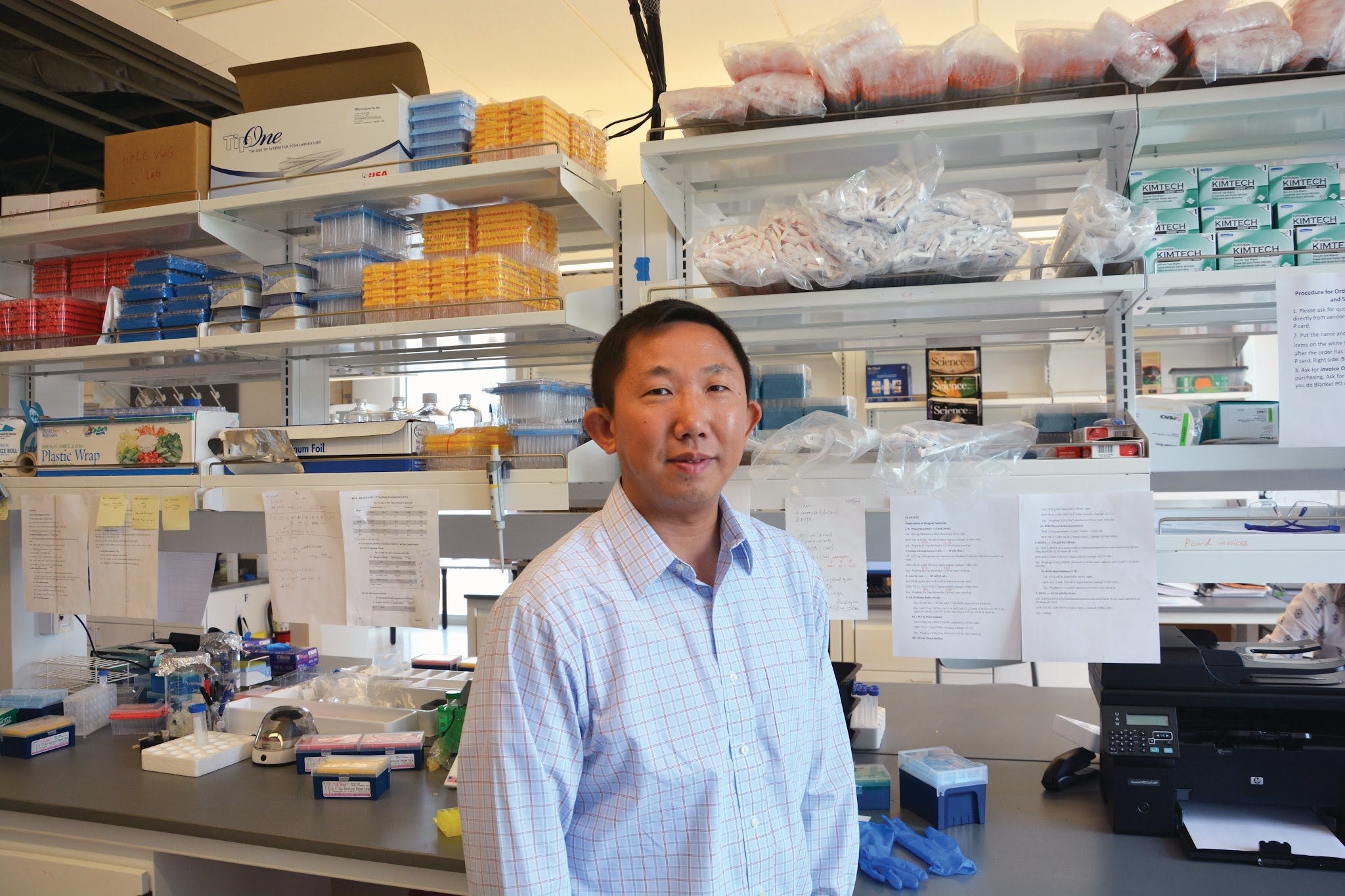 Additional image related to DNA damage and repair research.