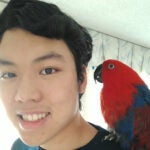 Picture Lee
