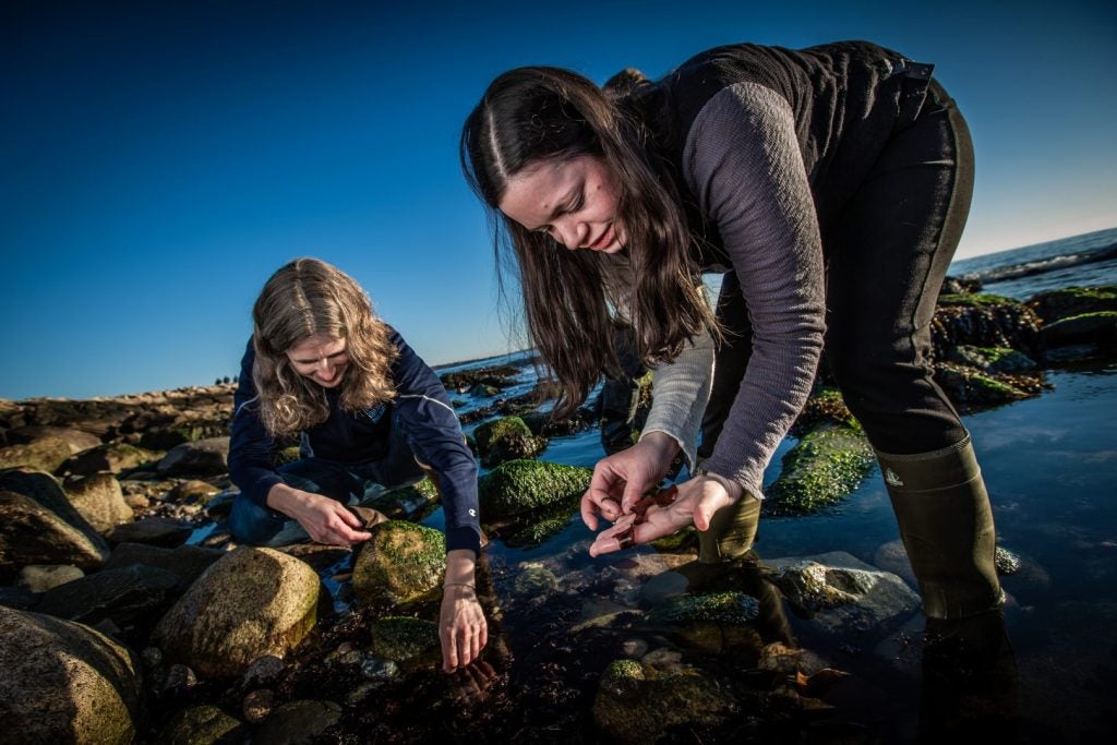 Two female students bending down over the rocks at low-tide searching for organisms
