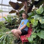 gut in middle of plants