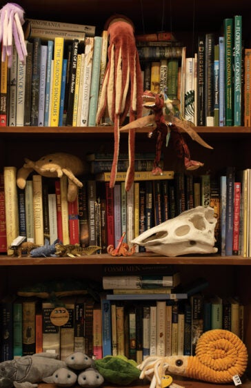 An office bookshelf with a whimsical assortment of plush toys and animals