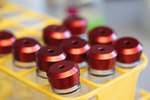 vials of sample bacteria with red metallic covers rest in a slotted tray