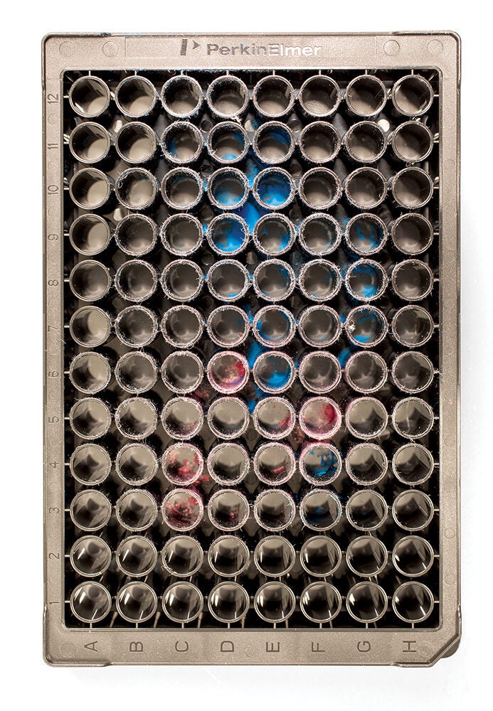 Tray with cylinders holding powdered microplastics of differing colors