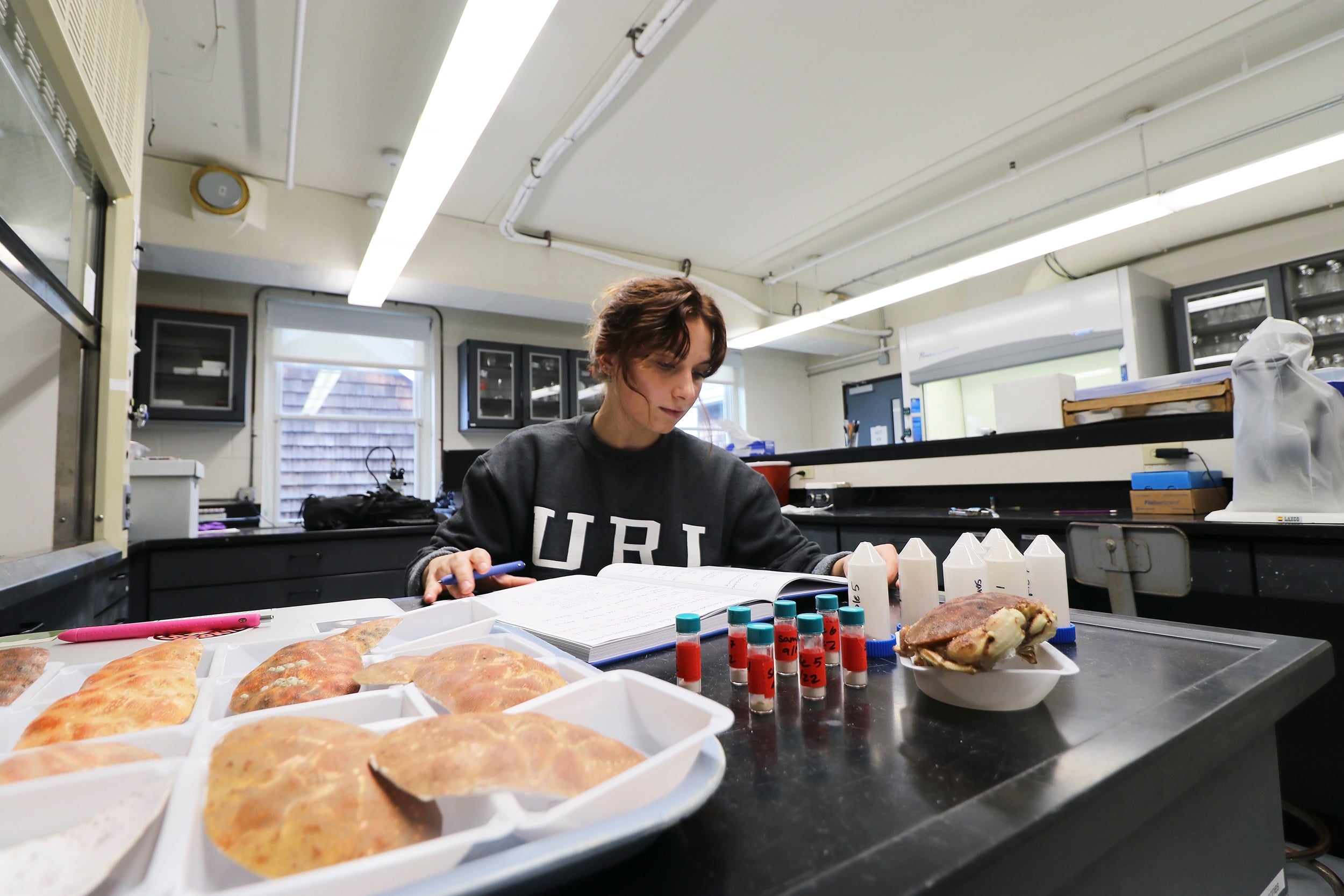 Lindsay Agvent processes Jonah Crab samples in Lab