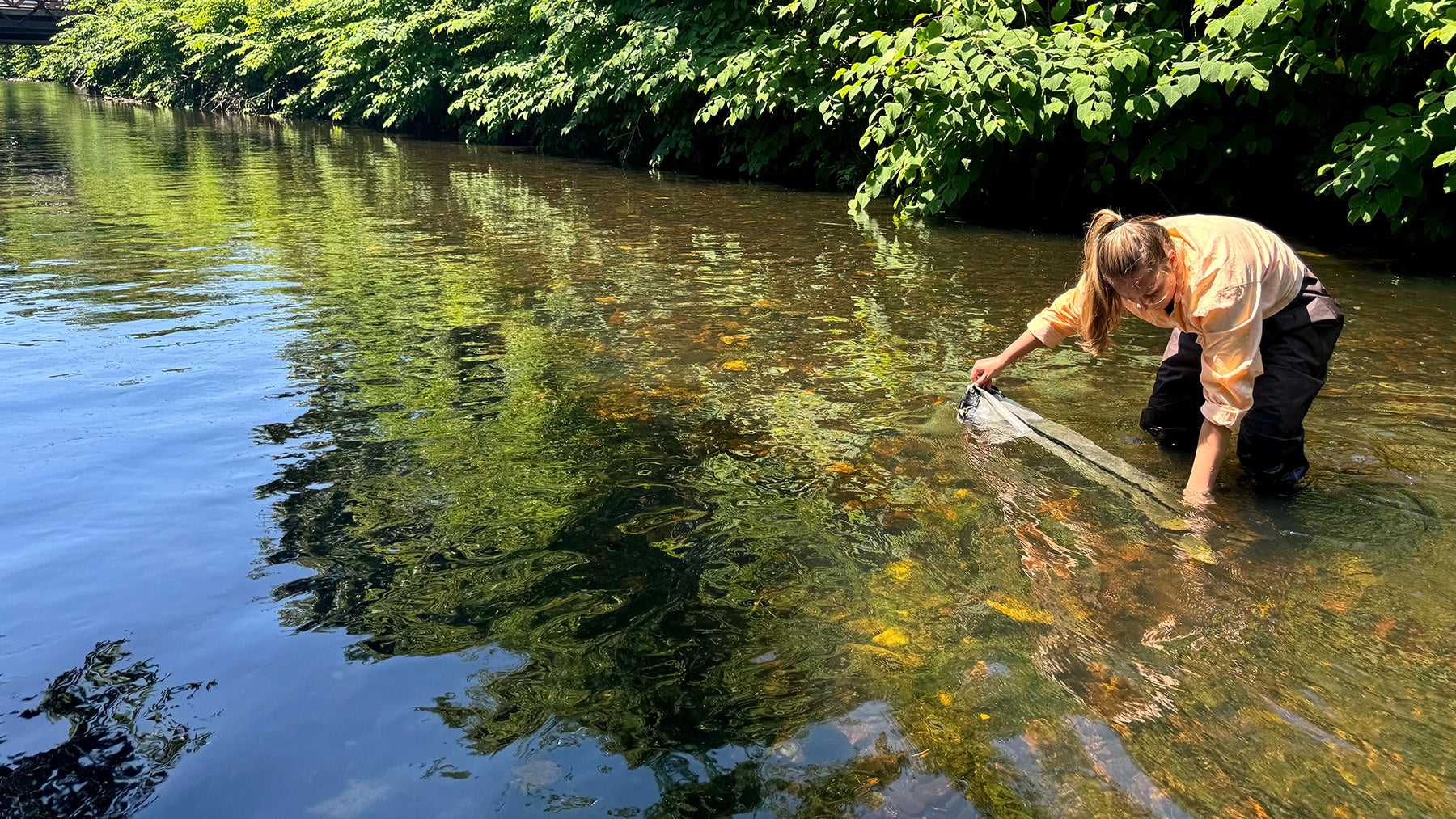 microplastic-collection-kate2