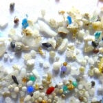 Microplastics photo/Oregon State U