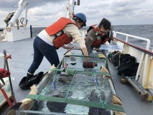 Collecting samples from deckboard incubations during an LTER cruise.