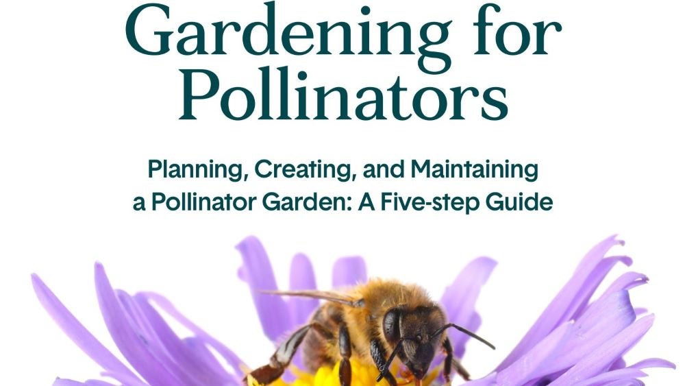 A 5-step guide to Gardening for Pollinators (planning, creating and maintaining a pollinator garden)