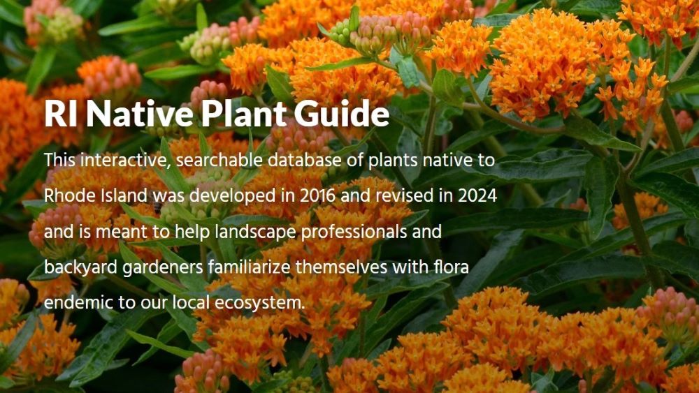 RI Native Plant Guide (interactive database)