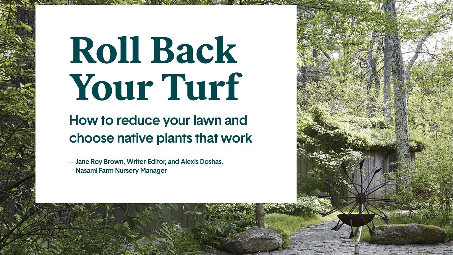 Guide: Roll Back your Turf - How to reduce your lawn and choose native plants that work.