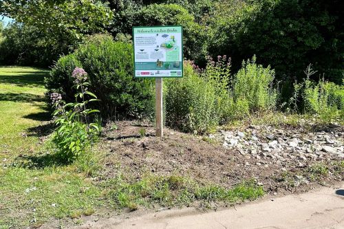 A raingarden with an informational sign.