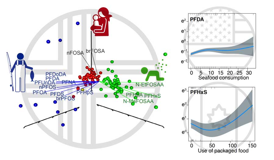 Modeling Human Exposure To Poly- And Perfluoroalkyl Substances (PFAS ...