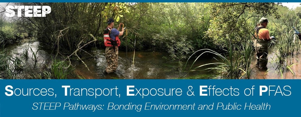 screenshot of STEEP newsletter