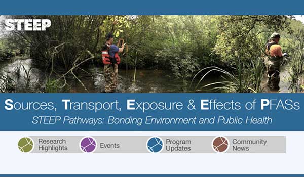 screenshot of STEEP newsletter