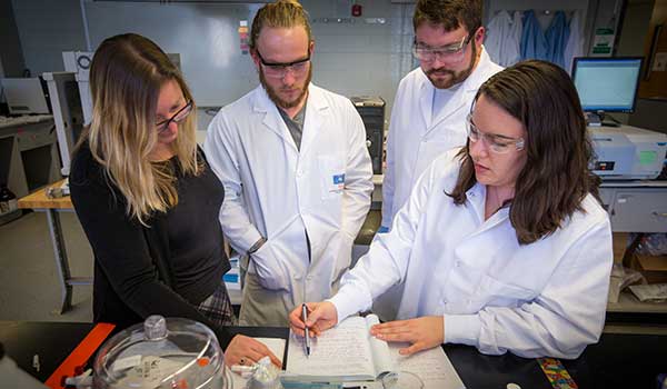 a team of scientists working together