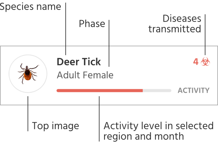 tick results legend