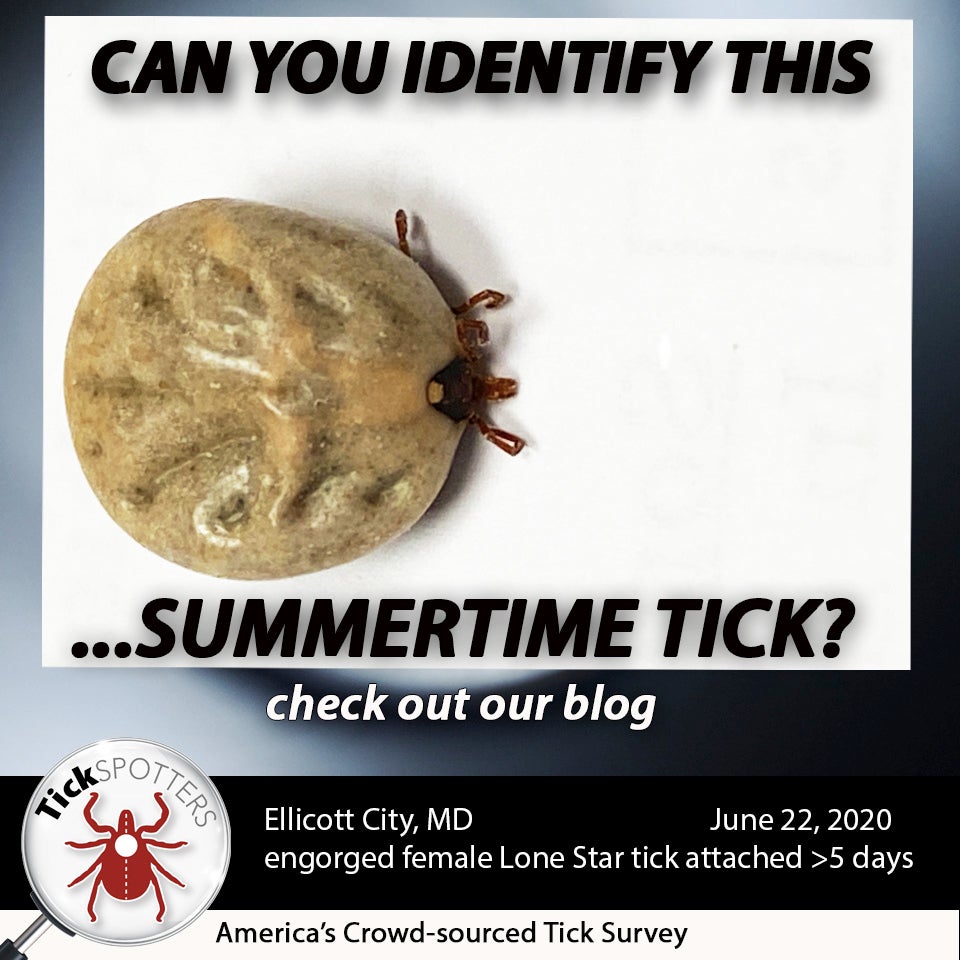 Lone Star Tick social Media meme