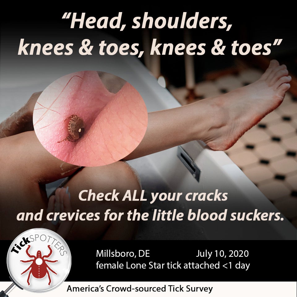 Lone Star Tick Social Media Meme