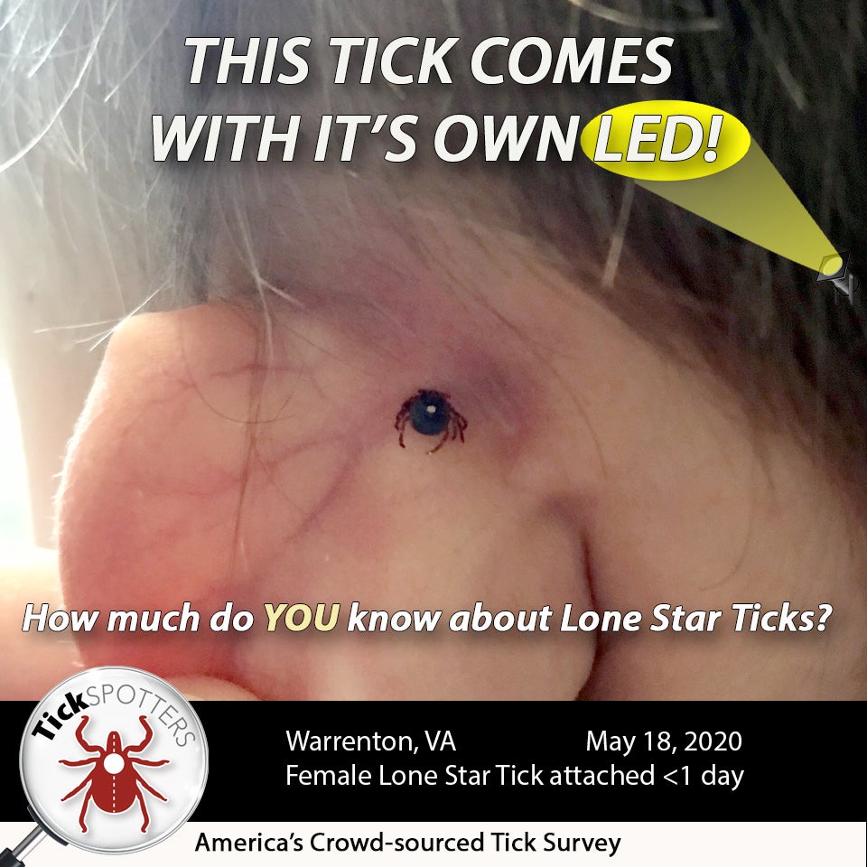 Lone Star Tick Social Media Meme