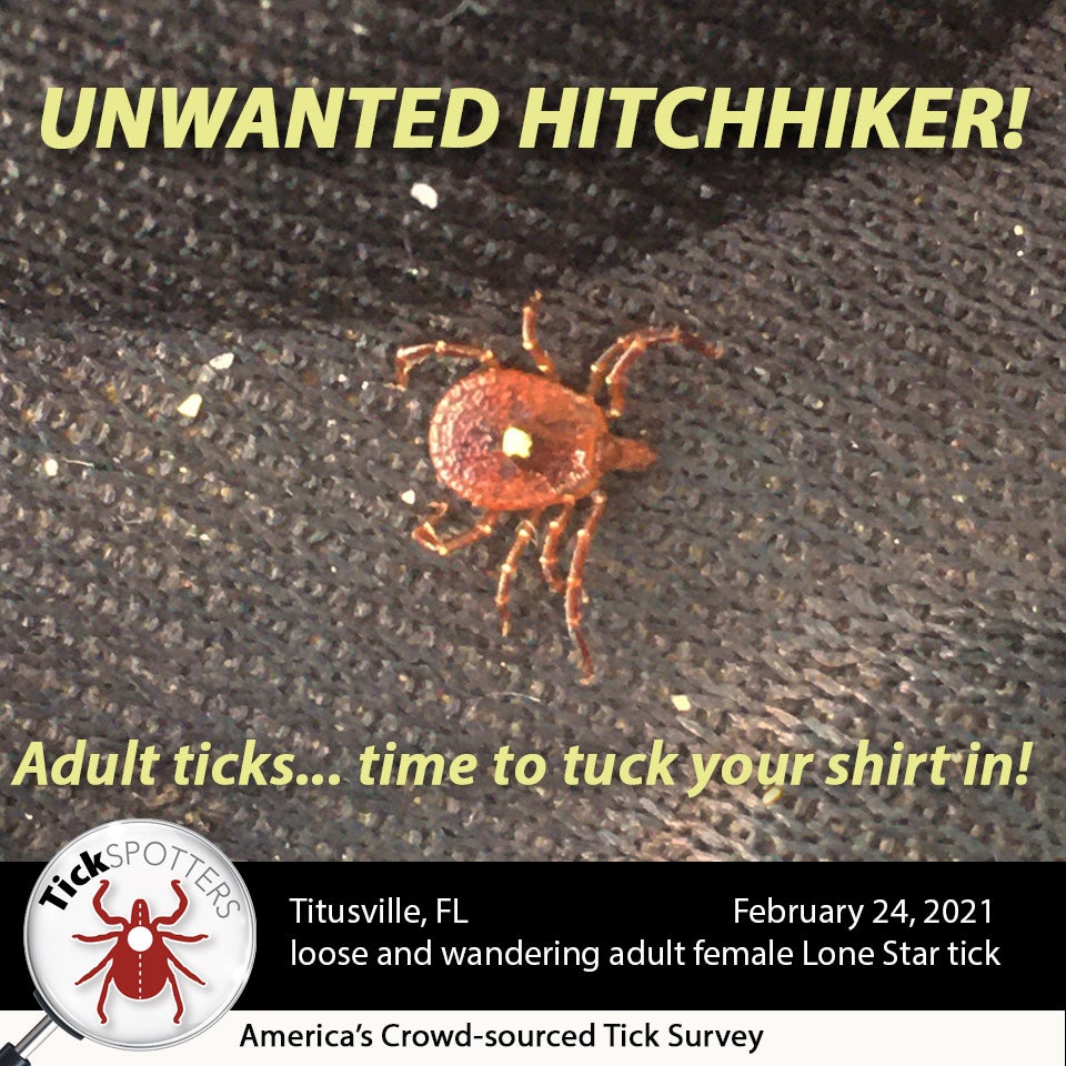 Lone Star Tick Social Media Meme