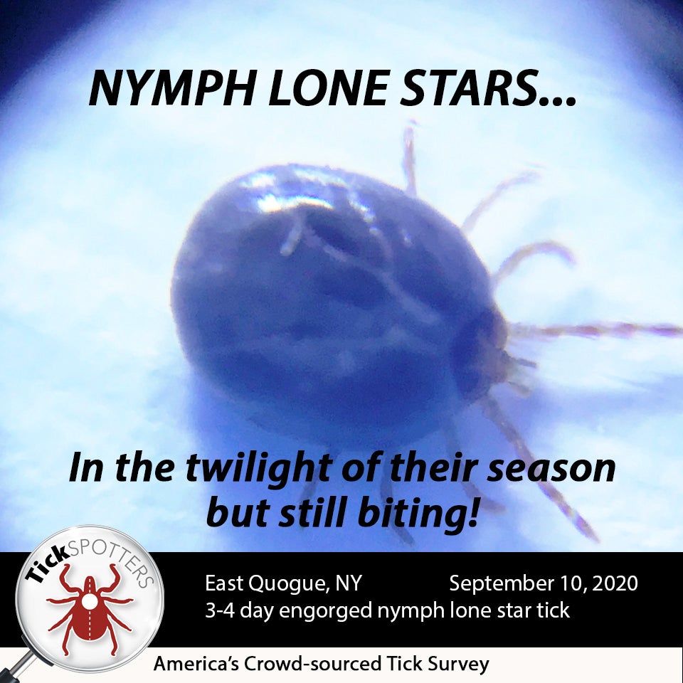 Lone Star Tick Social Media Meme