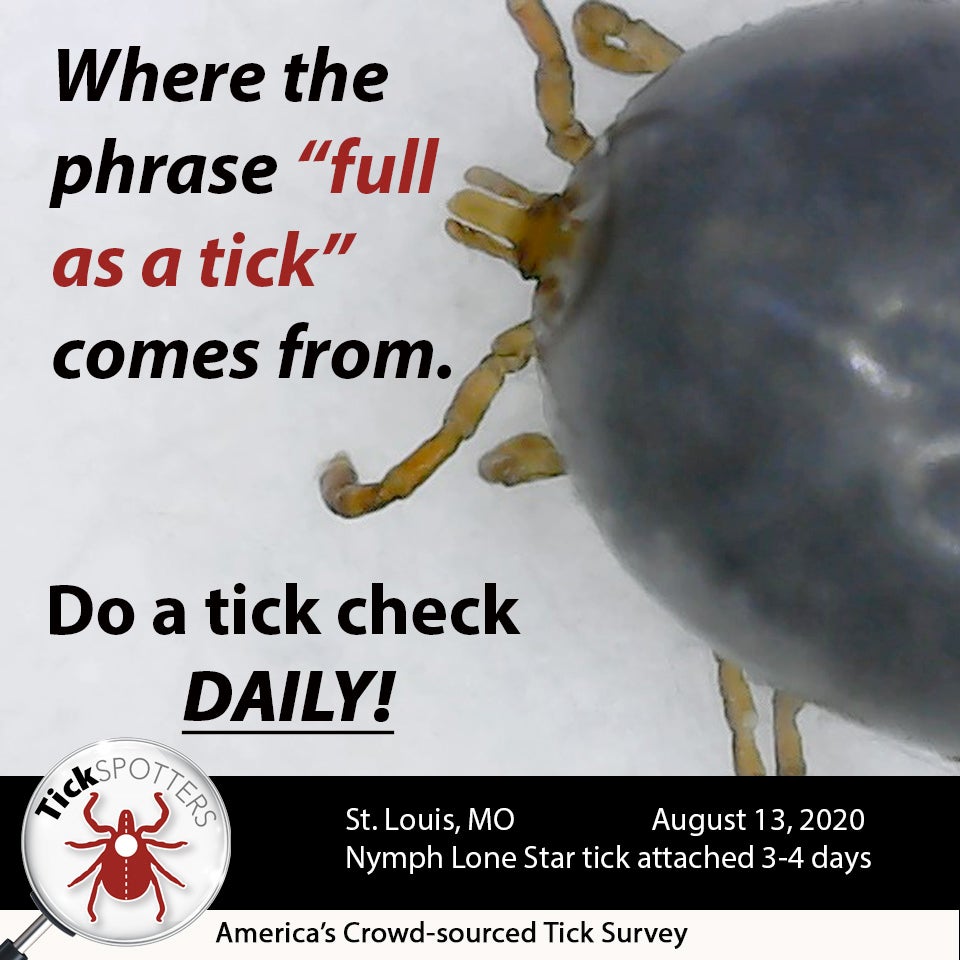 Lone Star Tick Social Media Meme