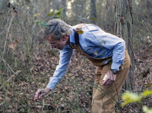 Dr. Thomas Mather in the brambles looking for ticks