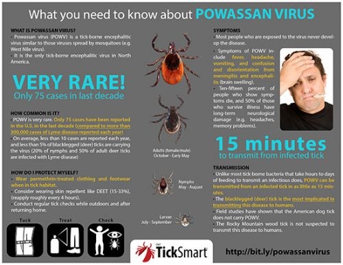 What You Need To Know About Powassan Virus – TickEncounter