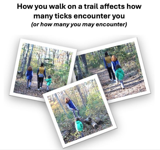 How you walk on a trail affects how many ticks you encounter (or how many you may encounter)