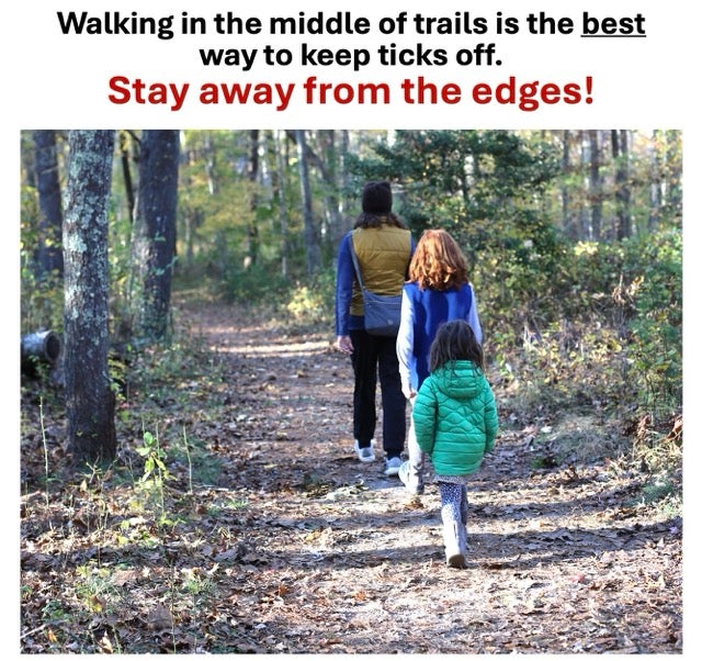 Walking in the middle of the trails is the best way to keep ticks off. Stay away from the edges!