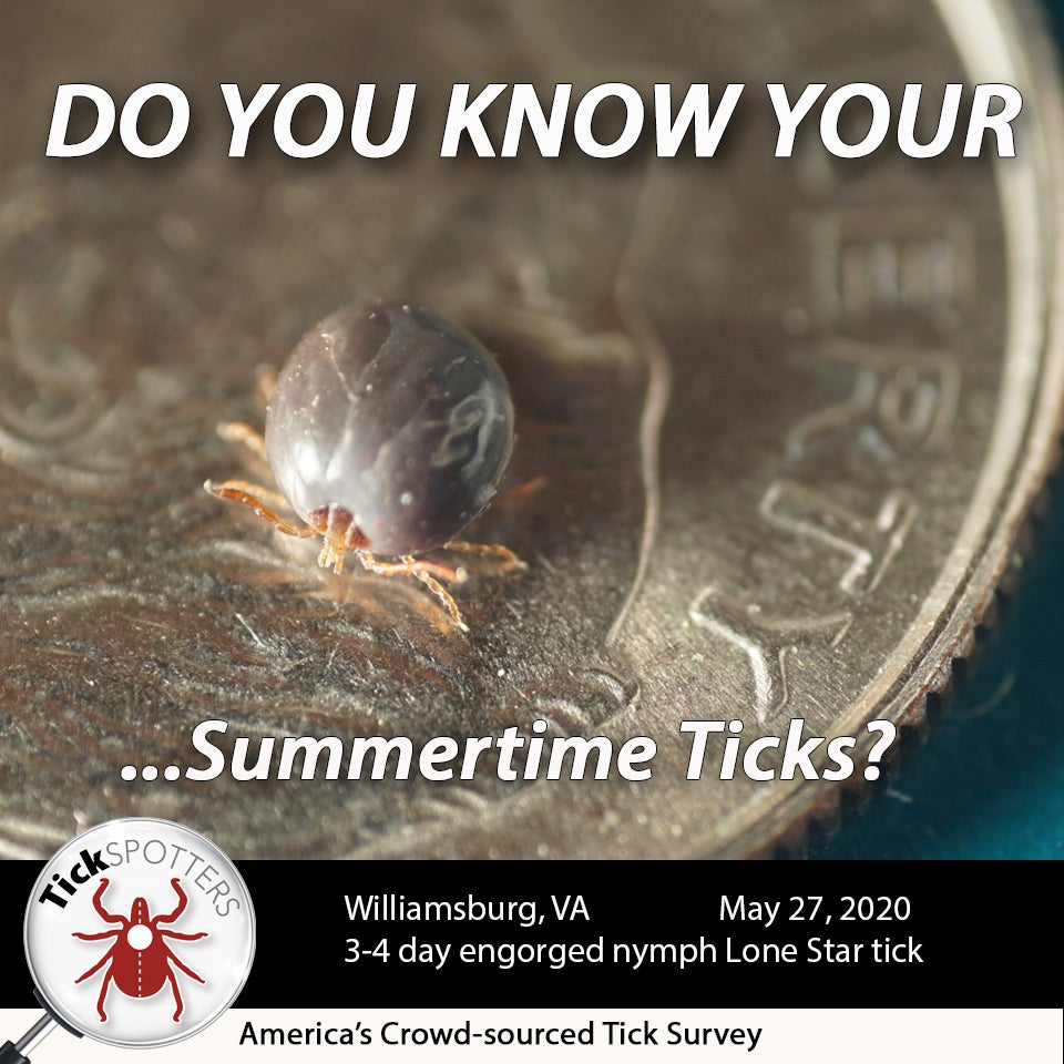 Lone Star Tick Social Media Meme