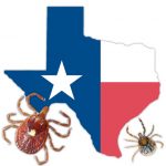 Outline of Texas between two lone star ticks