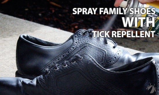 Spray family shoes with tick repellent