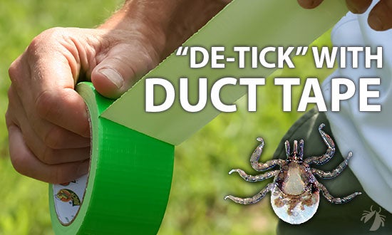 "De-Tick" with duct tape