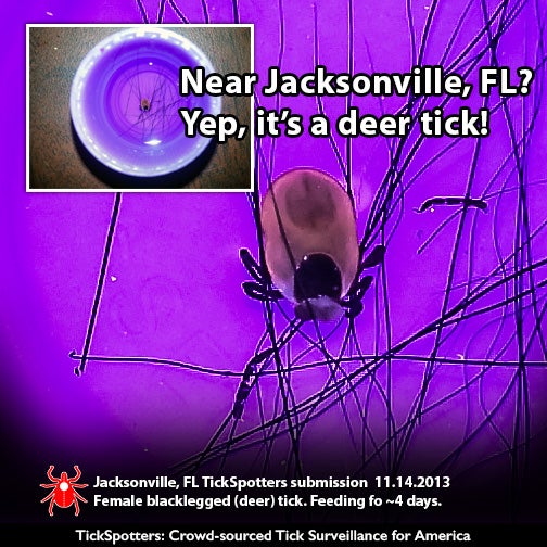 Where The Ticks Are! TickEncounter