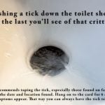 Image of a tick being flushed down the toilet with the caption "Flushing a tick down the toilet should be the last you'll see of that critter. However, TERC recommends taping the tick, especially those found on family members, to an index card with the date and location found. Hang on to the card for six months or so, just in case unusual symptoms appear. That way you can always have the tick tested for pathogens."
