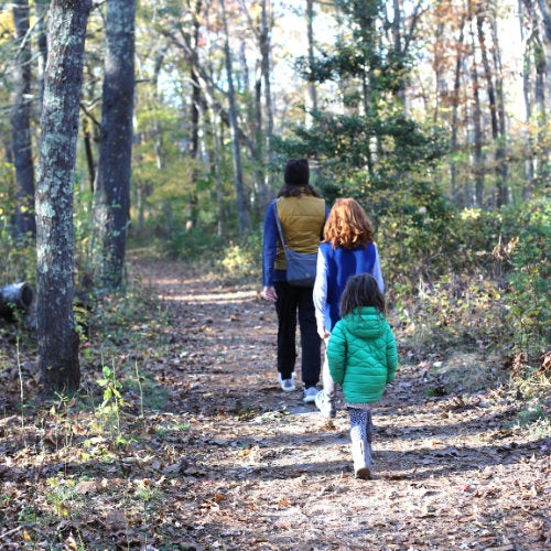 Three people, walking in the woods single file in the center of the trail