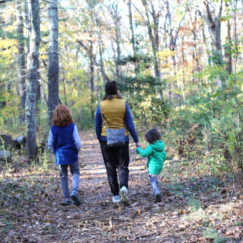 Three people, walking in the woods, side by side