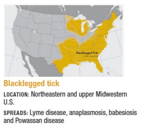 Blacklegged Tick Location: Northeastern and upper midwestern U.S. Spreads: Lyme disease, anaplasmosis, babesiosis, and Powassan disease.