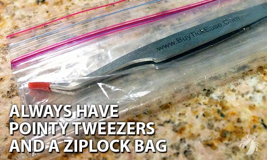 pointy tweezer and plastic bag