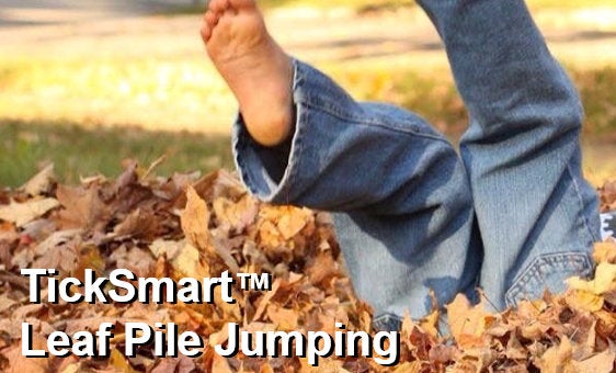 TickSmart leaf pile jumping - a boy jumps in a pile of leaves