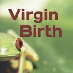 Virgin birth frog