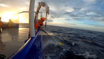 Using a boat hook to snag the CPIES recovery float