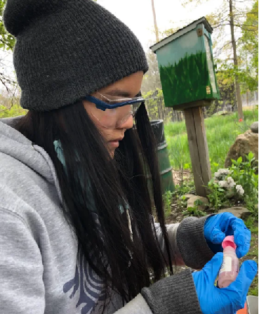 Volunteer using dissolved oxygen kit at Moshassuck River Wild Place in Providence