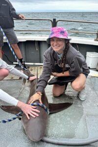 Nikki is a PhD student in the Biological and Environmental Sciences graduate program in the College of Environment and Life Sciences at URI, specializing in Evolution and Marine Biology. She earned her Master's degree in Marine Biology from Unity Environmental University, focusing on marine mammal conservation. For her capstone, she helped Save the Bay improve their seal monitoring program by creating training programs for citizen scientists, expanding their data collection and management capabilities. Her PhD research examines movement patterns of tiger sharks in different locations throughout the world to identify distinct behavioral states associated with variable environmental conditions.