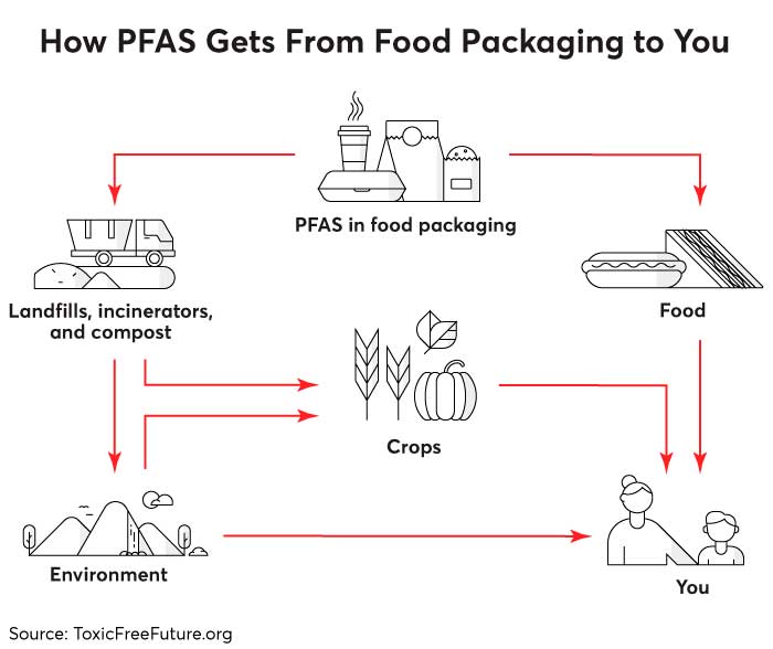 Fast-Food Restaurants Food Packaging Release PFAS into Your Food