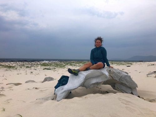 Robuck sitting on top of a Southern right whale skull in South Africa
