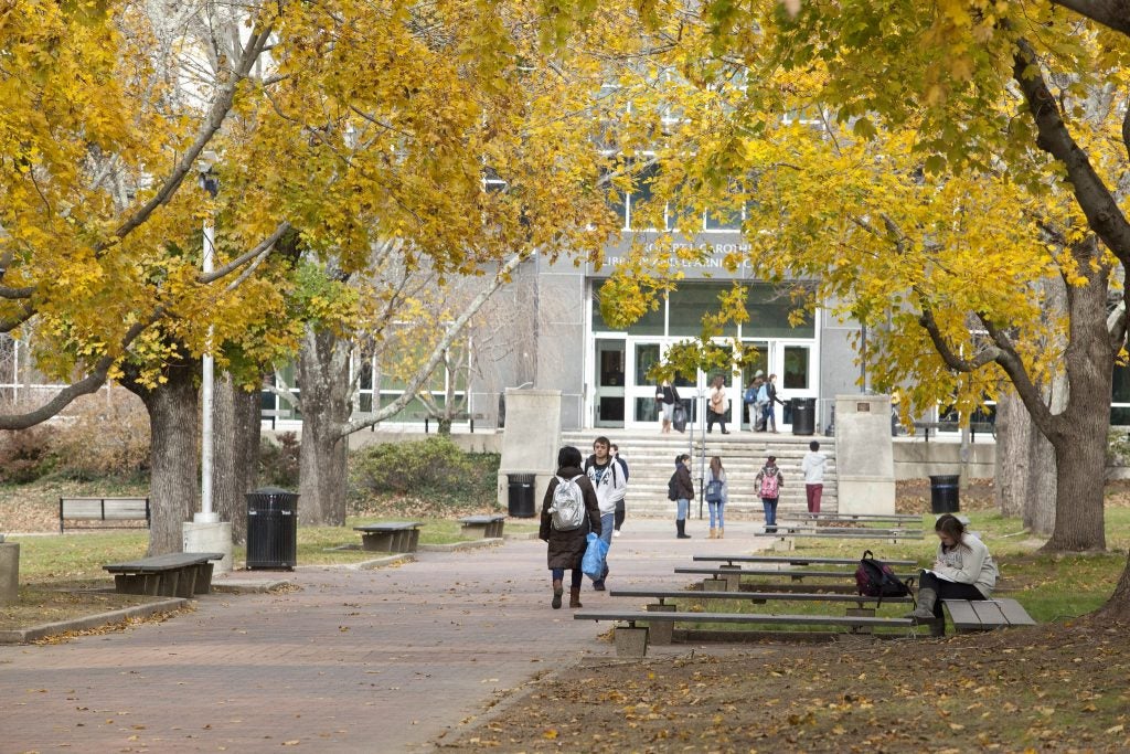 Library entrance on fall day